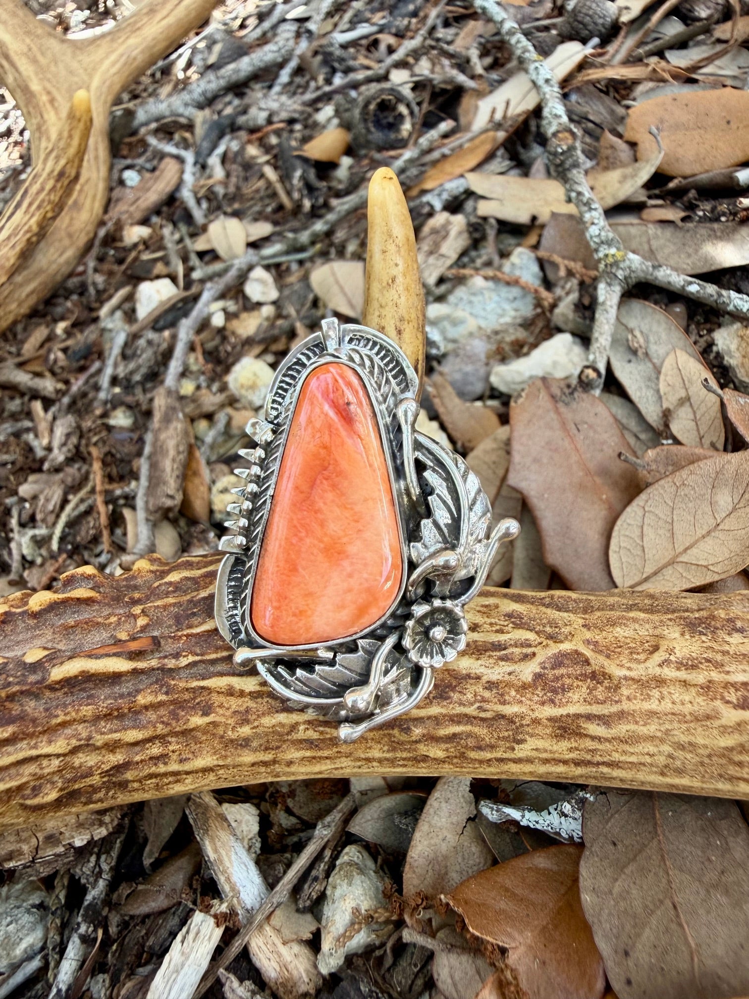 Large Spiny Ring
